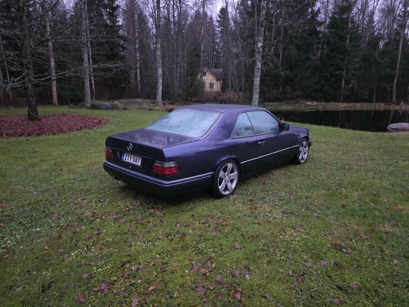 [Pilt: 54967-5a6973eb-708f-4fb7-9935-a9185bf2e10f.jpeg]