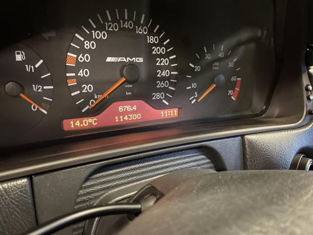 [Pilt: 57439-IMG_2816.jpeg]