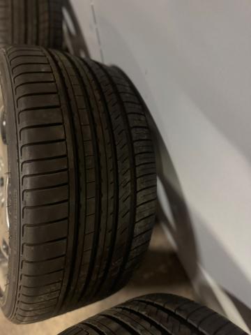 [Pilt: 59326-WhatsApp_Image_2025w-12-11_at_13.53.17.jpeg]