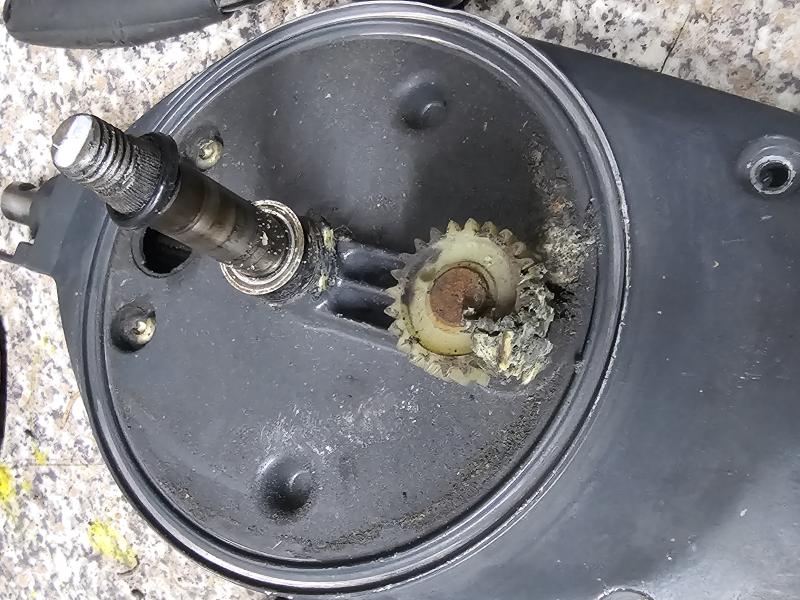 [Pilt: 68969-20251012_123156.jpg]