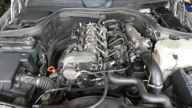 [Pilt: 99973-P1080693.JPG]